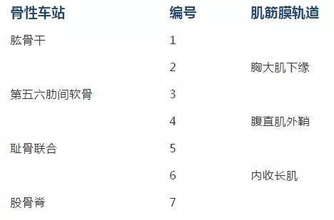 12码必中,详细解答解释落实_em58.37.06